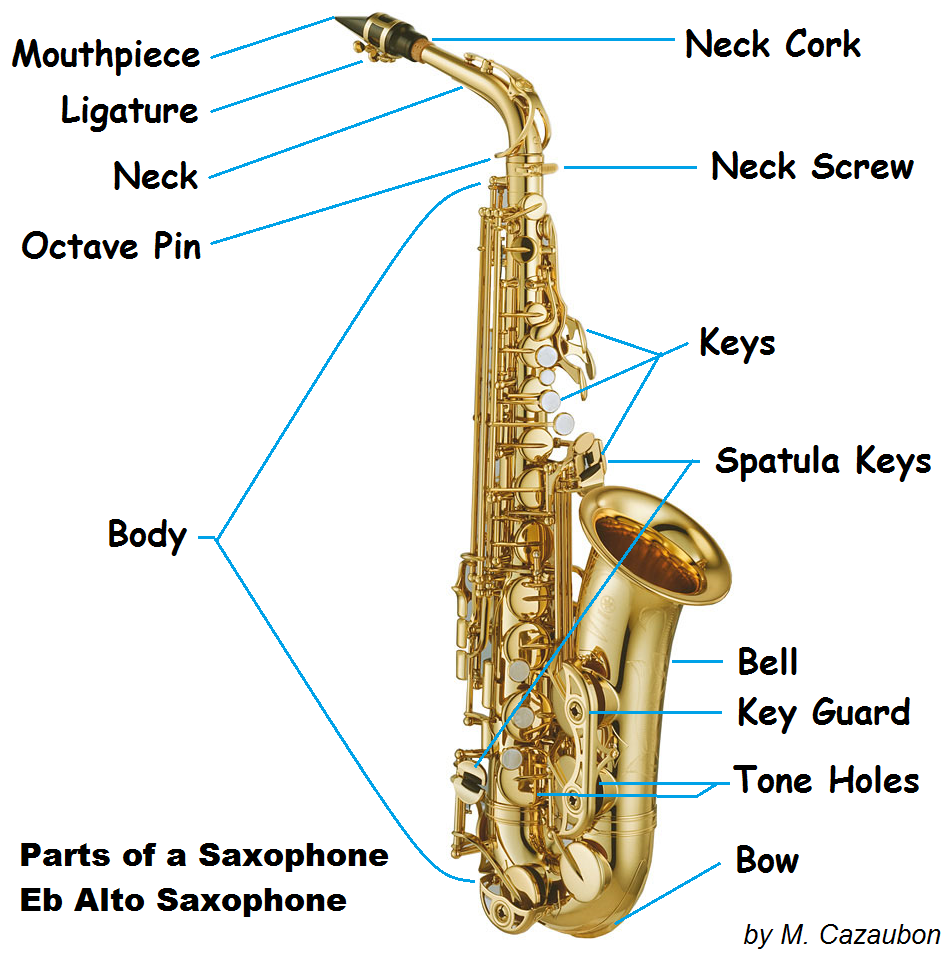 Parts of the Saxophone